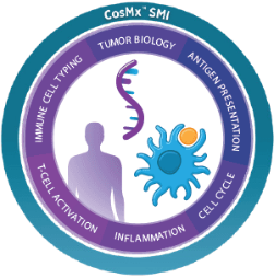 CosMx Human Immuno-oncology Panel (RNA, 100 Plex)