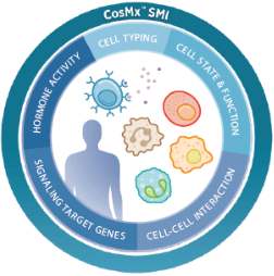 CosMx Human Universal Cell Characterization Panel (RNA, 1000 Plex)